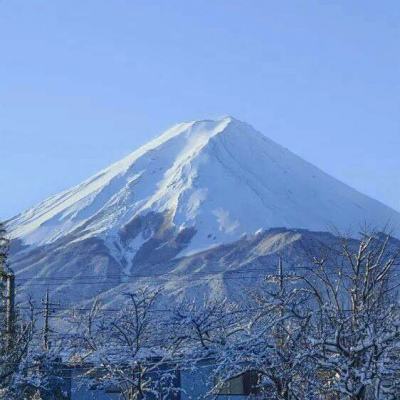 精灵宝可梦之梦幻怪兽无限钻石破解版下载